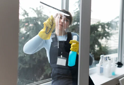 Nettoyage de vitres intérieures et extérieures à Saint-Christophe-sur-Roc
